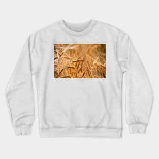 Golden Barley Crewneck Sweatshirt